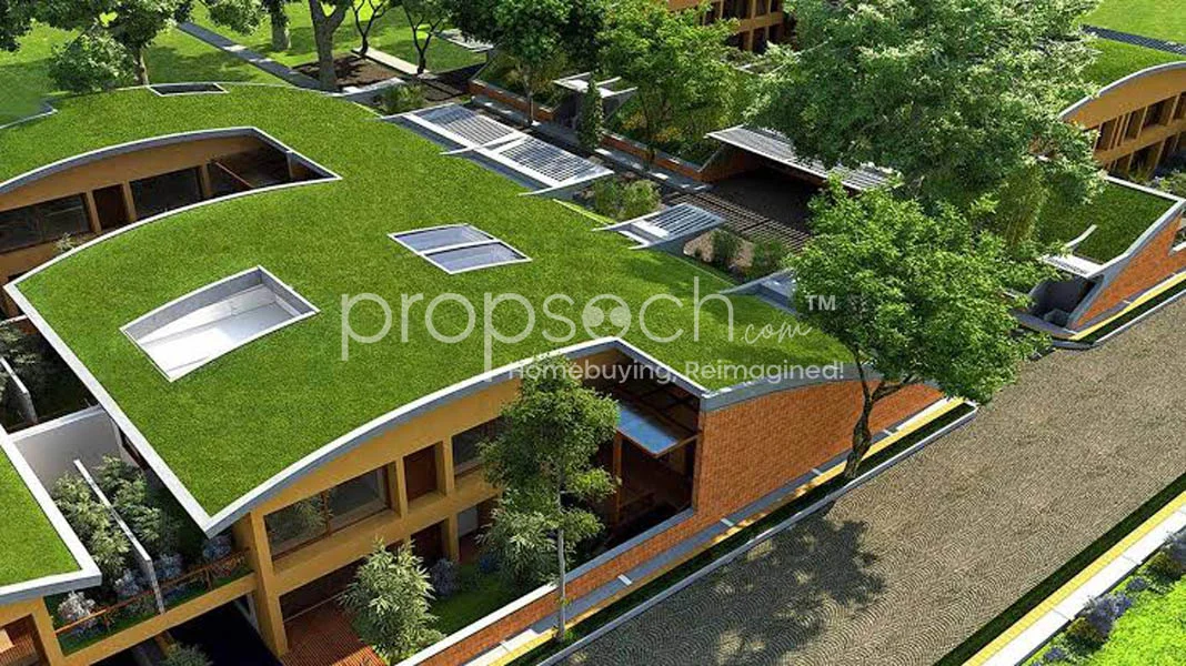 After The Rain Phase 2-B